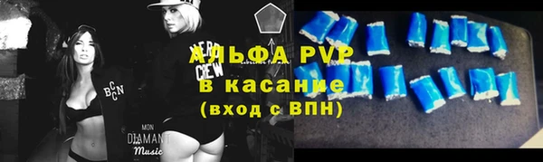 крисы Алексин