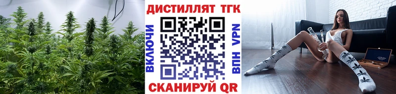 где купить наркоту  Бийск  Дистиллят ТГК THC oil 