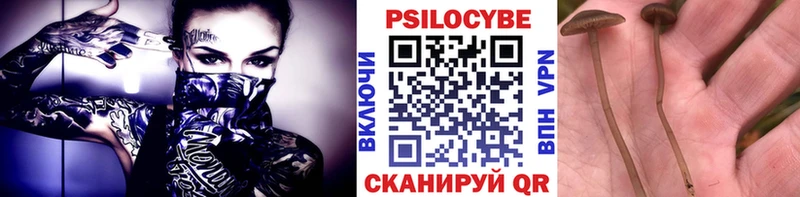 Галлюциногенные грибы Psilocybine cubensis  как найти закладки  Бийск 