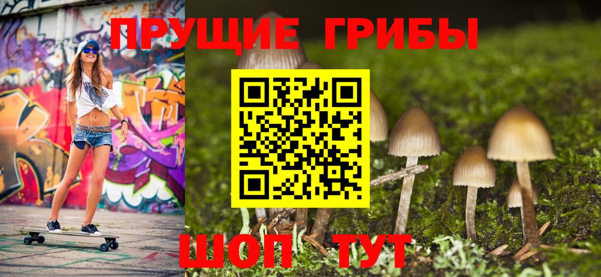 Бийск  Псилоцибиновые грибы мицелий  Вход с VPN 