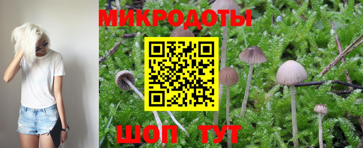 Галлюциногенные грибы MAGIC MUSHROOMS Бийск